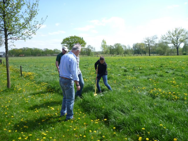 2013 HWK016.jpg